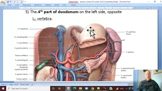 Anatomy GIT Module in Arabic 49  ( Abdominal Aorta) ,  by Dr, Wahdan