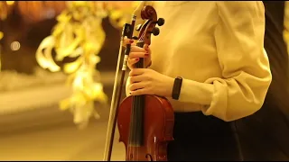 Billie Eilish- Lovely (violin cover) _thetmaa