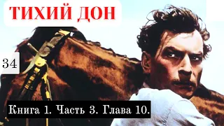 «Тихий Дон» / Подробный пересказ / Книга 1. Часть 3.  Глава 10.