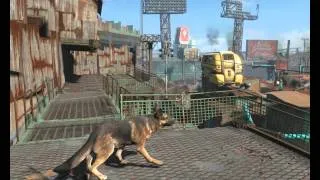 Прохождение Fallout 4. Часть 5 " Воссоединение "