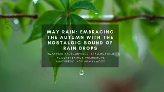 MAY Rain Embracing the Autumn with the Nostalgic Sound of Rain Drops #raindrops #may