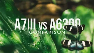 Comparing SONY A7III vs A6300 - Is The DIFFERENCE WORTH SWITCHING? (Filmmaking Review)