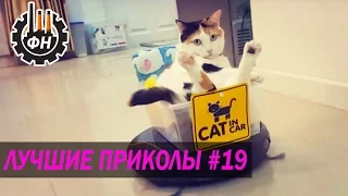 ПОДБОРКА ЛУЧШИХ ПРИКОЛОВ 2017 #19 ЯНВАРЬ Best Funny Fail Compilation "Фабрика Настроения" (COUB)