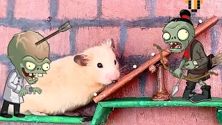 🐹🦀 ZOMBIE Hamster Maze with Traps 😱[OBSTACLE COURSE]😱 + BONUS Escape Zombies