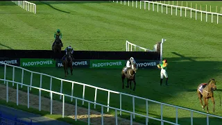 High drama! All change late on at Leopardstown as Tyre Kicker wins... but only just!