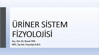 Erciyes Üniversitesi, Sağlık Bilimleri Fakültesi Hemşirelik Böl. Üriner Sistemi Fizyolojisi Dersi