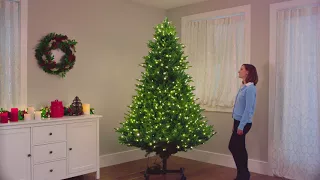 Grow & Stow Tree with Multicolor Lights