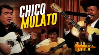 João Mulato, João Carvalho e Goianito no Viola minha Viola - Chico Mulato