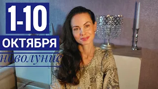 1 - 10 октября. Гороскоп. Новолуние с разворотом Плутона