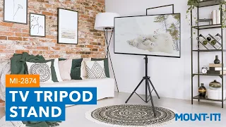 TV Tripod Stand | MI-2874 (Features)