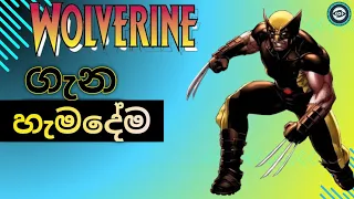 Wolverine ගැන හැමදේම සිංහලෙන්.|Wolverine sinhala review 2024. @SLMARVELFANDOM