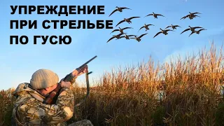 💥О СТРЕЛЬБЕ ПО ГУСЮ ВЛЁТ.ПРАВИЛЬНОЕ УПРЕЖДЕНИЕ.