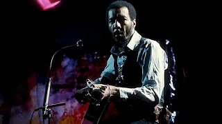 Richie Havens - High Flying Bird (Peel Session 1969)