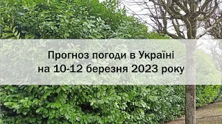 Прогноз погоди в Україні на 10 - 12 березня 2023 року