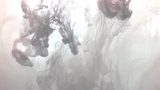 INK DROPS WHITE 4K