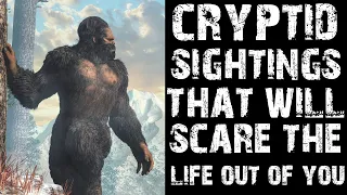 CRYPTID SIGHTINGS THAT WILL SCARE THE LIFE OUT OF YOU