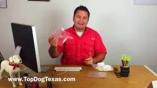 Diabetic Alert Dog Training: How to collect saliva samples for training.