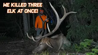 Unbelievable OTC Colorado Elk Hunt (TRIPBULL)