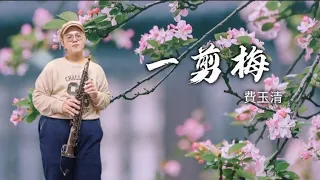 一剪梅（Bb Key）-Sax Andrea