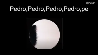 Pedro (SUB español)