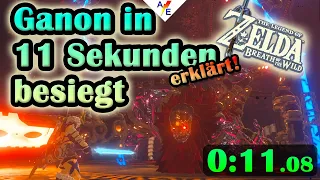 Ganon in 11 Sekunden besiegen: Ausführliche Erklärung | The Legend of Zelda - Breath of the Wild