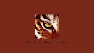 eye of the tiger - survivor (speed up)