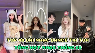 🎵 TỔNG HỢP THÁNG 03/2024 : 40 Bài Nhạc Dance Và Điệu Nhảy Triệu View Thịnh Hành Khắp Tik Tok VN