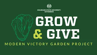 Grow & Give: Hail Cleanup and Protection