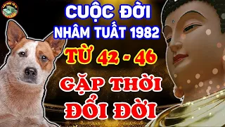 Tử Vi Trọn Đời Tuổi Nhâm Tuất 1982, Từ 42 - 46 Tuổi, Vận May CỰC ĐỎ, Tiền Rơi Trúng Đầu | LPTV