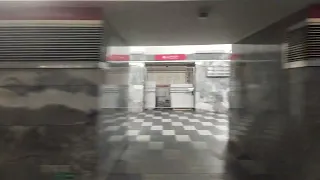 станция метро Чернышевская без остановки (закрыта на ремонт)
