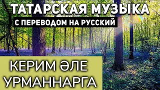 Татарские песни с переводом на русский I Керим әле урманнарга I Хәйдәр Бигичев