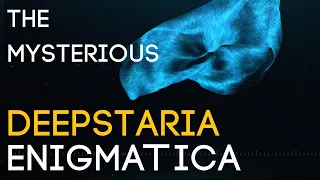 The Most Mysterious Jellyfish - The Deepstaria Enigmatica | Thalassic Oddity