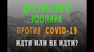 Зоопарк в Дублине в период коронавируса. Стоит ли вести детей?