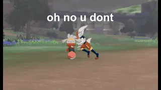 pokemon camp but its the scorbunny evolution line (part 5)