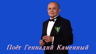 ГЕННАДИЙ КАМЕННЫЙ - НЕ ИЩИТЕ ЛАНДЫШЕЙ - Монтаж Татьяны Ситниковой