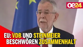 Van der Bellen und Steinmeier beschwören Zusammenhalt in EU
