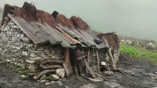 Nepal Mountain Life|Beautiful And Relaxing Nepali Mountain Village Life in Rain Time। Mountain Nepal