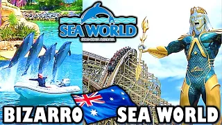 "Bizarro" Sea World? Exploring Australia's Aquatic Theme Park (Feat. BBL Cricket)