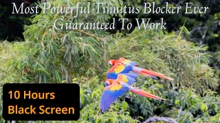 Most Powerful Tinnitus Blocker Ever Guaranteed To Work This is The One 10 Hours Black Screen
