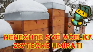 Máte správně zazimované včelky, aby v pořádku přečkaly zimu? Jak funguje včelstvo v zimě.