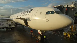 [4K]Post Rain Sunshine: Lufthansa A340-600 Beautiful Landing at wet JFK
