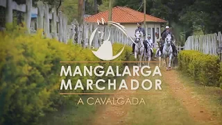 Mangalarga Marchador - A Cavalgada