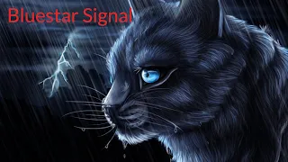 Warrior Cats Bluestar -Signal- Matthew Parker