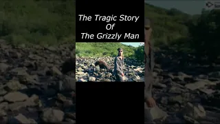The Tragic Story of The Grizzly Man (Timothy Treadwell) #shorts