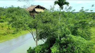 camping saat hujan badai||berlindung di rumah pohon||suara hujan siang malam