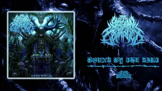 THE STYGIAN COMPLEX - BOUND BY THE DIRT [SINGLE] (2023) SW EXCLUSIVE
