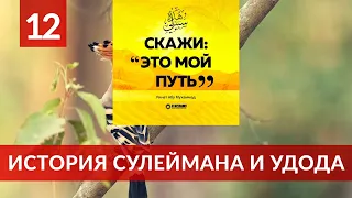 12. История Сулеймана и удода | Ринат Абу Мухаммад