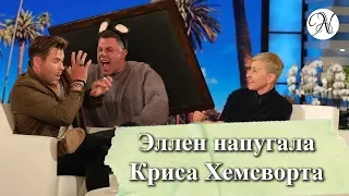 Легко ли напугать КРИСА ХЕМСВОРТА? / Актёр о квокке, страхах, детях / озвучка от ANVI VOICE