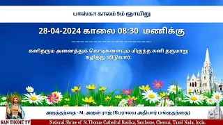 🔴🅻🅸🆅🅴 | Sunday Holy Mass from Shrine Basilica in Tamil (28-04-24 @ 08:15 a.m) #santhometv