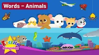 Kids vocabulary Theme "Animals" - Baby Animals, Sea Animals, Bugs, Animal Sounds